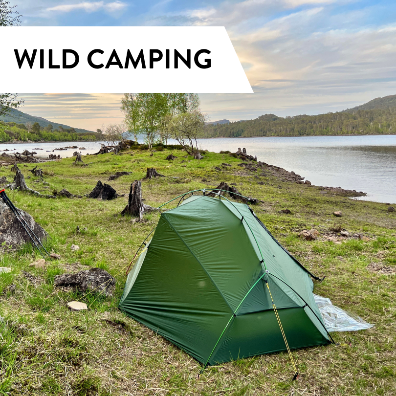 Tent Stake Premium Big Bundle